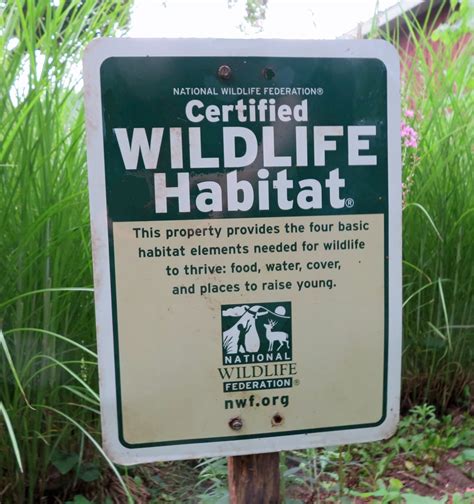 Certified Wildlife Habitat Seriously Seeking Answers