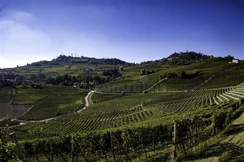 The Vineyards In The Piedmontese Langhe In Autumn Stock Photo Image