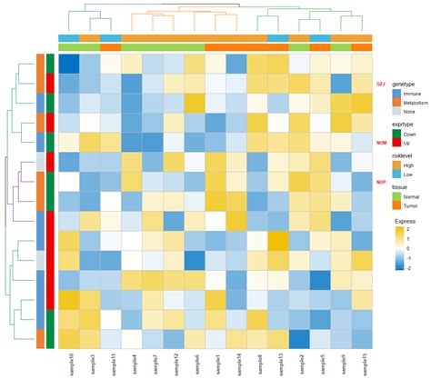 Ggplot How To Cluster A Heatmap Based On Columns Usi Vrogue Co