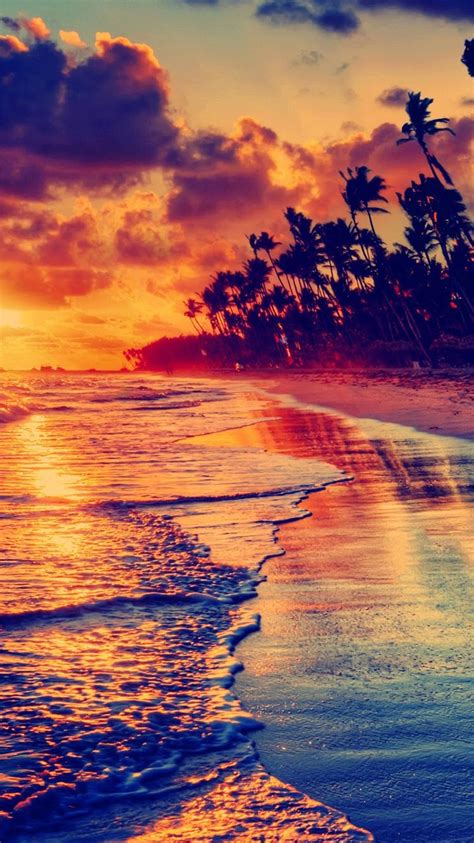 Free Download Golden Beach Sunset Tropical Iphone 6 Wallpaper Pretty