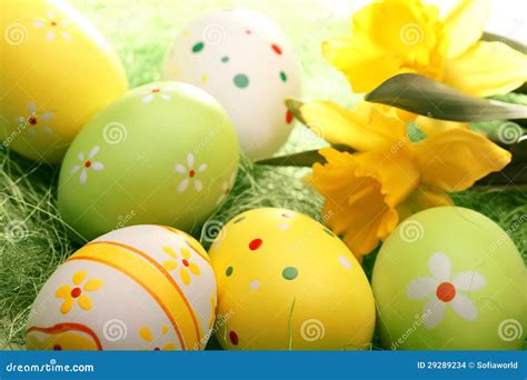 Easter Eggs And Daffodil Stock Photo Image Of Celebration 29289234