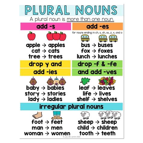 Plural Nouns Anchor Chart Lucky Little Learners