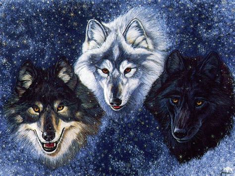 Fantasy Wallpaper Wolves Wolf Spirit Animal Winter Wolves Fantasy Wolf
