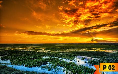 Papéis De Parede Personalizados Papéis De Parede Paisagens Por Do Sol