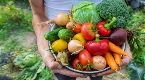 Spring Season Food Fruits And Vegetables Healthkart