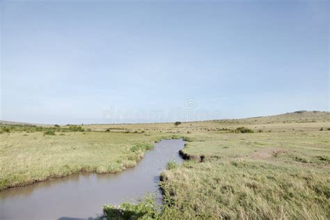 A Water Hole In The Midst Of Savannah Grassland Masai Mara National