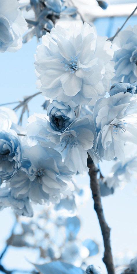 Image result for pastel blue stuff. Wallpaper Tumblr Aesthetic Pastel Blue 16+ Super Ideas ...