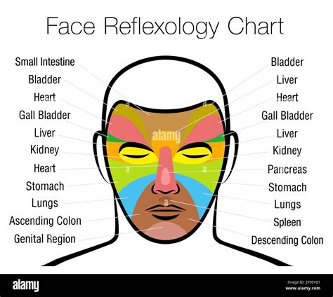 facial reflexology map telegraph