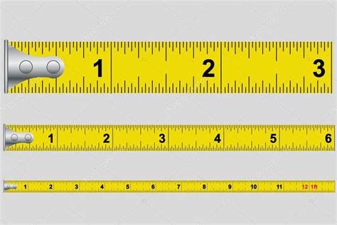 An Illustrated Tape Measure In Inches Premium Vector In Adobe