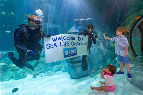 Madame Tussauds Sea Life Aquarium Orlando From 47