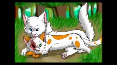 Warrior Cat Drawings Couple