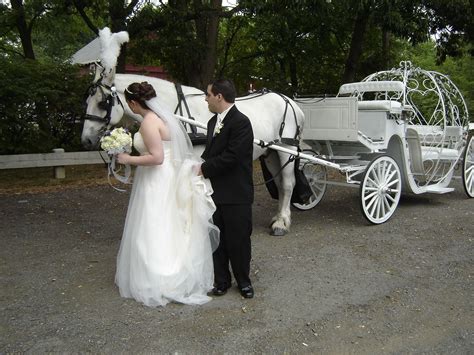 Bride And Groom Fell In Love With Our Horse Wagon For Wedding