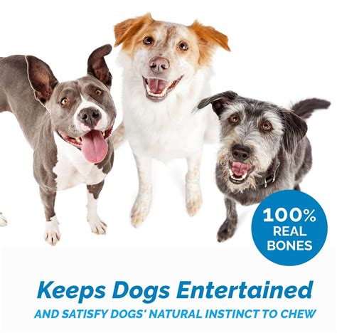 Are Knee Bones Good For Dogs