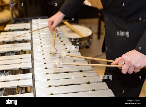 Xylophone In Orchestra Playing Percussion Instruments Concept