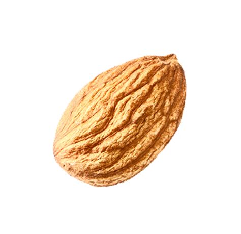 Single Of Almond Nut 12486115 Png