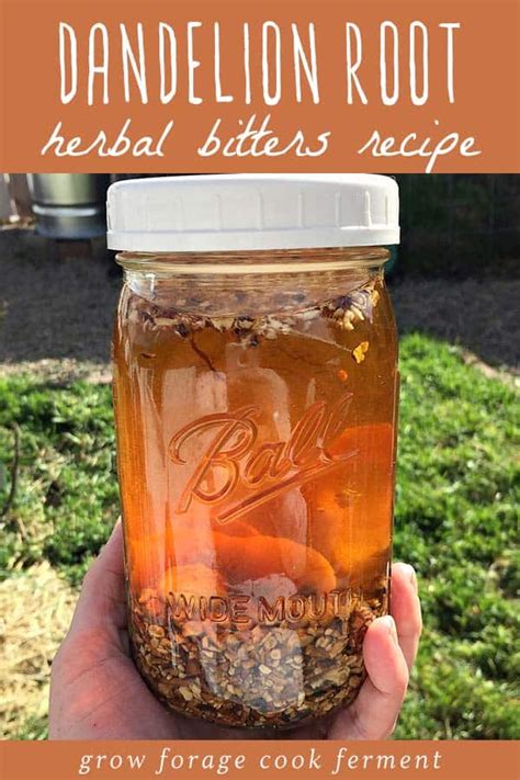 Dandelion Root Bitters Homemade Herbal Bitters Recipe Recipe