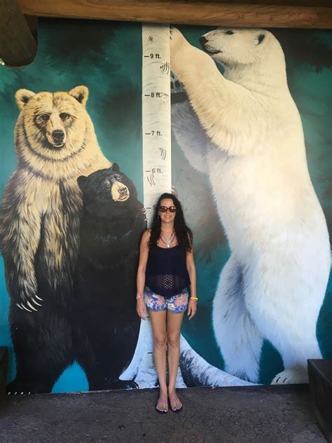 Aug 14, 2017 · height: How Tall is a Polar Bear - Polar Bear Height - Zooologist
