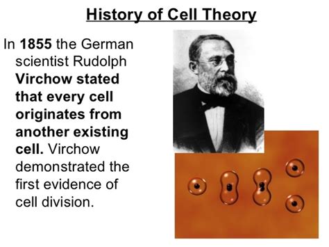 Cell Theory Timeline Timetoast Timelines