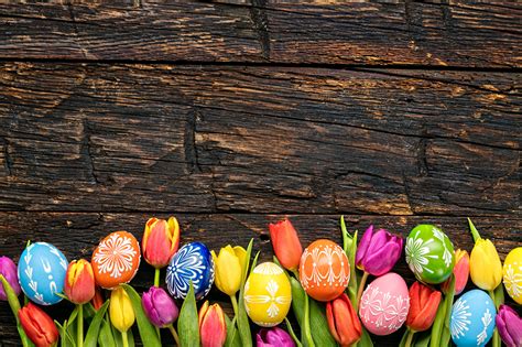 Image Easter Multicolor Eggs Tulip Flowers Wood Planks