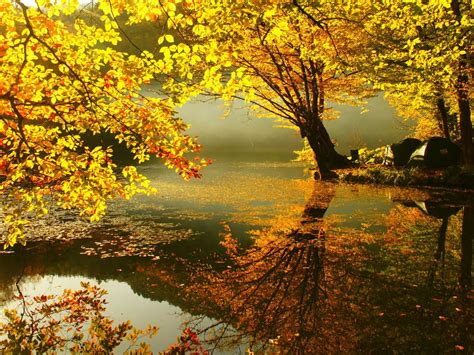 Free Download Download Autumn Wallpaper Hd Autumn Yellow 1024x768 For
