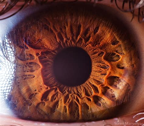 Your Beautiful Eyes Amazing Close Up Photos Of Human Eyes By Suren