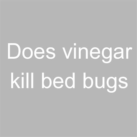 Does Vinegar Kill Bed Bugs Rainbow Run Farm