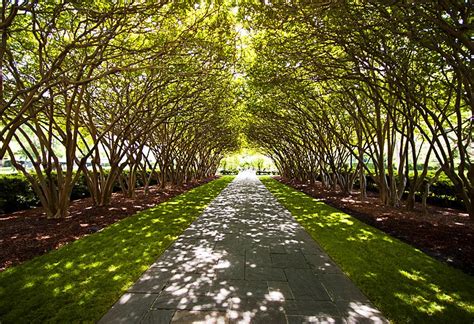 Splendid gardens dalasa pasta indekss 75230. 14 Top-Rated Tourist Attractions in Dallas & Easy Day ...