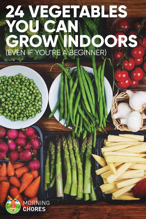 Learn how to grow fragrant blooms easily inside your try growing flowers inside your home. 24 Newbie-Friendly Vegetables You Can Easily Grow Indoors