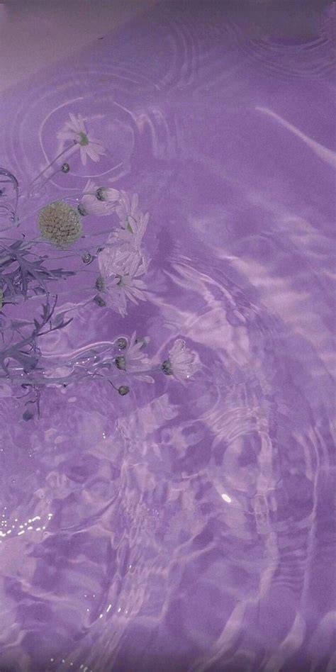 Lavender Cute Purple Aesthetic Wallpaper Art Floppy