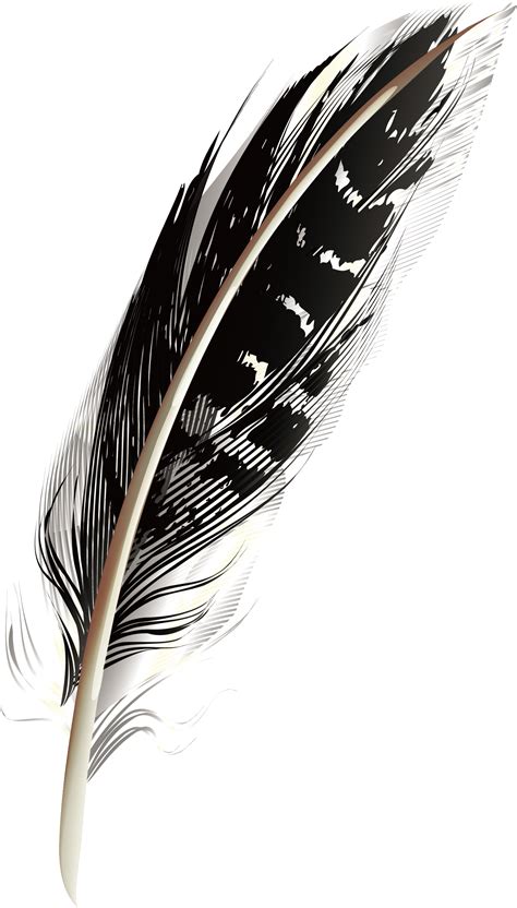 Feather A Black Pattern Feathers Png Download 14882612 Free