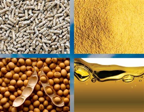 Soybean Meal Soy Beans Sugar Beet Pellets Buy Soybean Meal Soy Beans