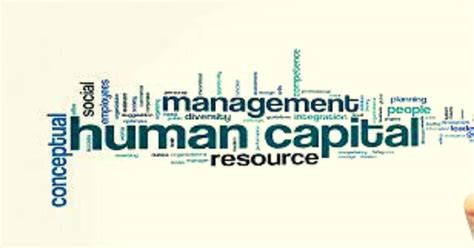 What Is Human Capital Management Importance Benefits Business