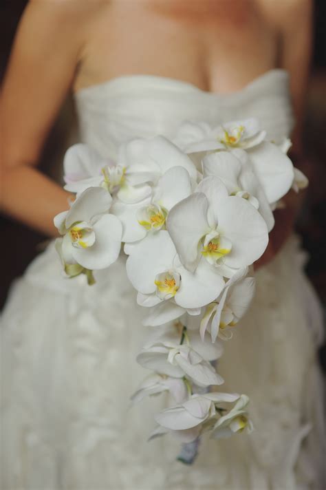 All White Orchid Bouquet With A Cascading Effect Weddingconcepts