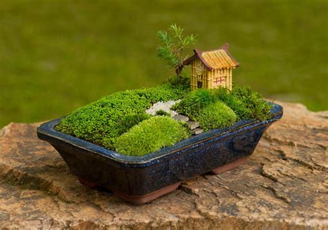 苔と一緒に家で — At Home With Moss Moss And Stone Gardens Blog Miniature