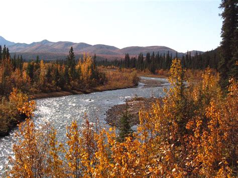 Denali national park camping reservations. Camping in Denali National Park: The Ultimate Guide to All 6