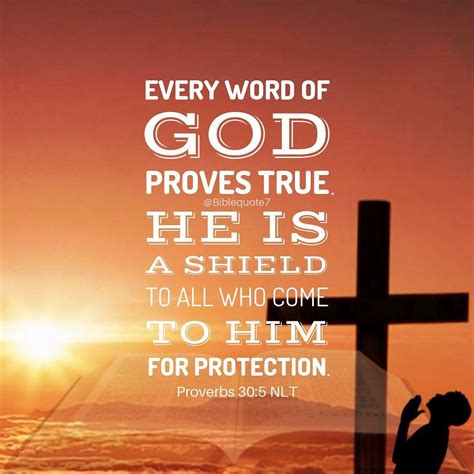 Proverbs 305 6 Nlt 5 Every Word Of God Proves True He Is A Shield