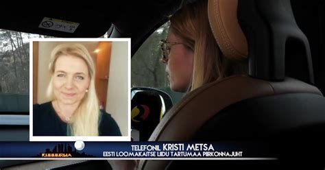T Ispikk Intervjuu Kuuuurija Eesti Loomakaitse Liit Ja Koer Muki