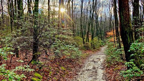 Alternate Trails | Appalachian Trail Conservancy