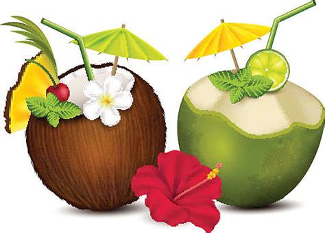 Royalty Free Coconut Drink Clip Art Vector Images And Illustrations Istock
