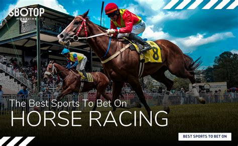 Why Horse Racing Stands Out As One Of The Best Sports To Bet On By