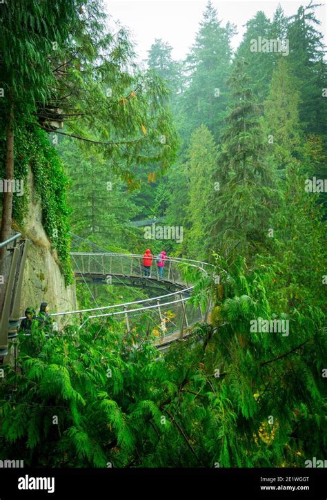 the cliffwalk attraction at capilano suspension bridge park in north vancouver british columbia