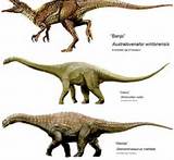 Photos of First Dinosaur Fossil Found In Australia