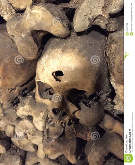 Human Skull Bullet Hole Stock Image Image Of Skull Human 49923749