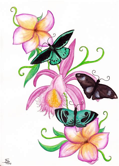 Easy Pencil Drawings Of Flowers And Butterflies Dont Be