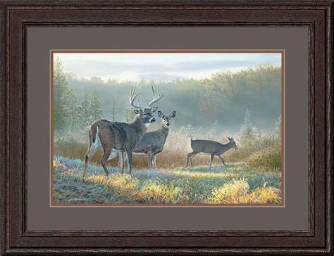 jim kasper framed limited edition print deer dreaming wild wings new releases