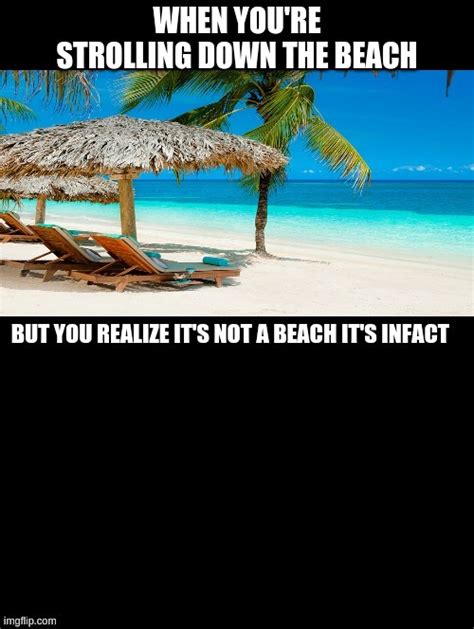 Funny Beach Memes Photos