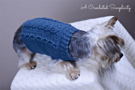 Free Charity Crochet Pattern Cabled Dog Sweater A Crocheted