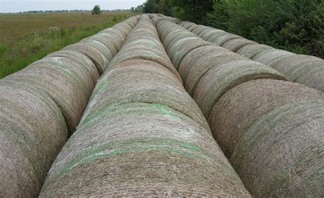 Hay Rolls Freshly Rolled Hay Katy Texas Thor To The Right Flickr