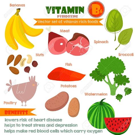 Vitamins and Minerals foods Illustrator set 10 Vector set of Dinh dưỡng