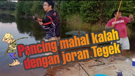 MANCING DI DANAU SPOT IKAN TIGER BARB IKAN TOMPEL SELUANG YouTube